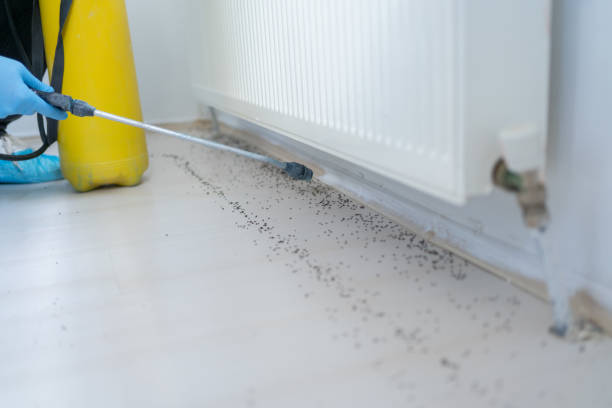 Best Cockroach Control Services  in Los Molinos, CA