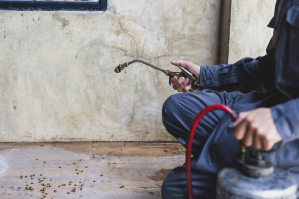 Best Pest Control Near Me in Los Molinos, CA